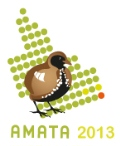 AMATA early career researcher workshop