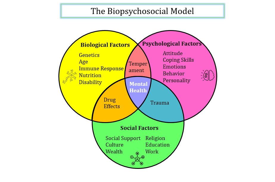 Biopsychosocial Model Venn diagram