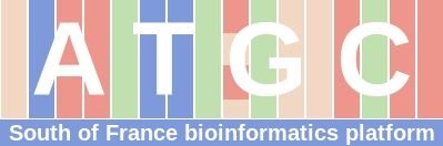 ATGC Bioinformatics Platform