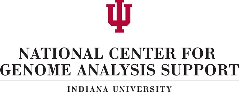 National Center for Genome Analysis Support (NCGAS)